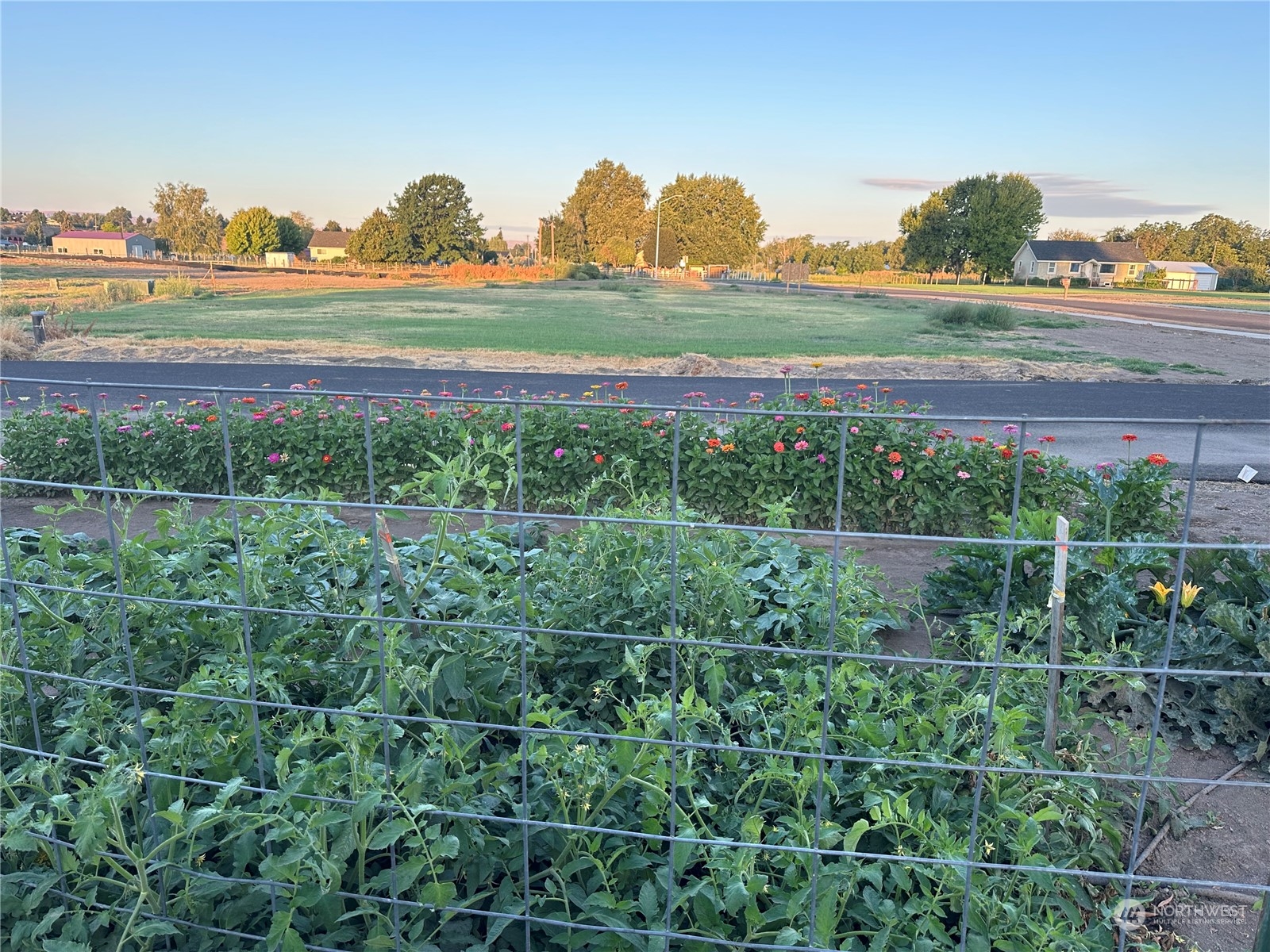 a view of a field with an ocean view