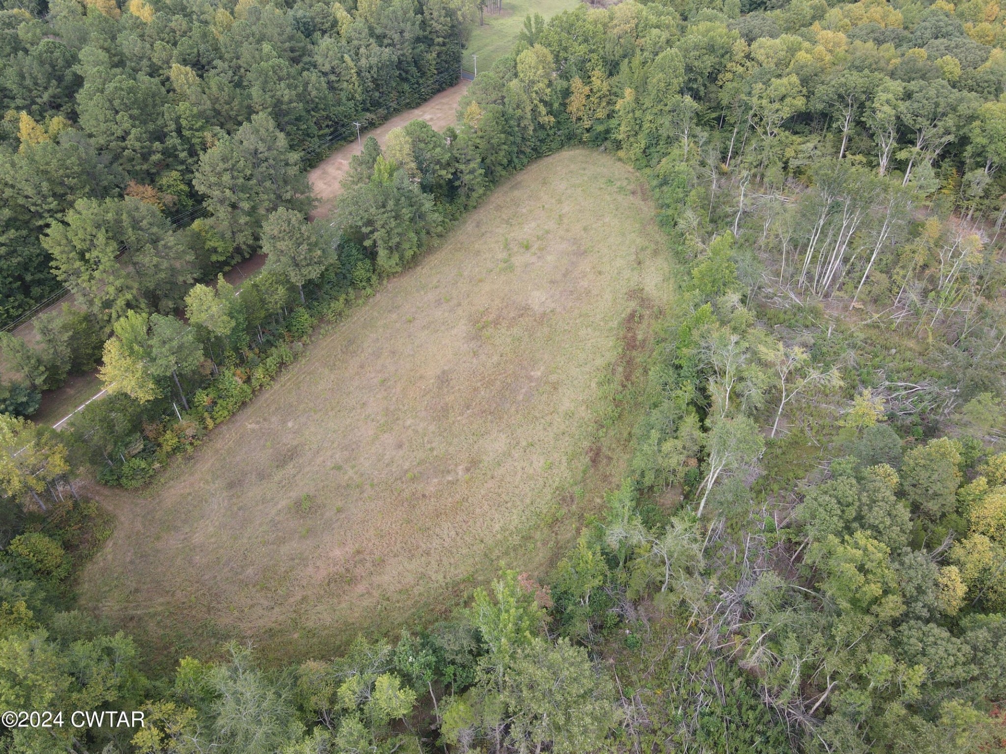 a view of a dry yard with lots of green space