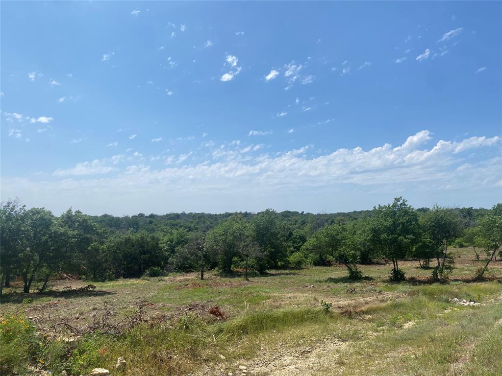 a view of a field with trees in background