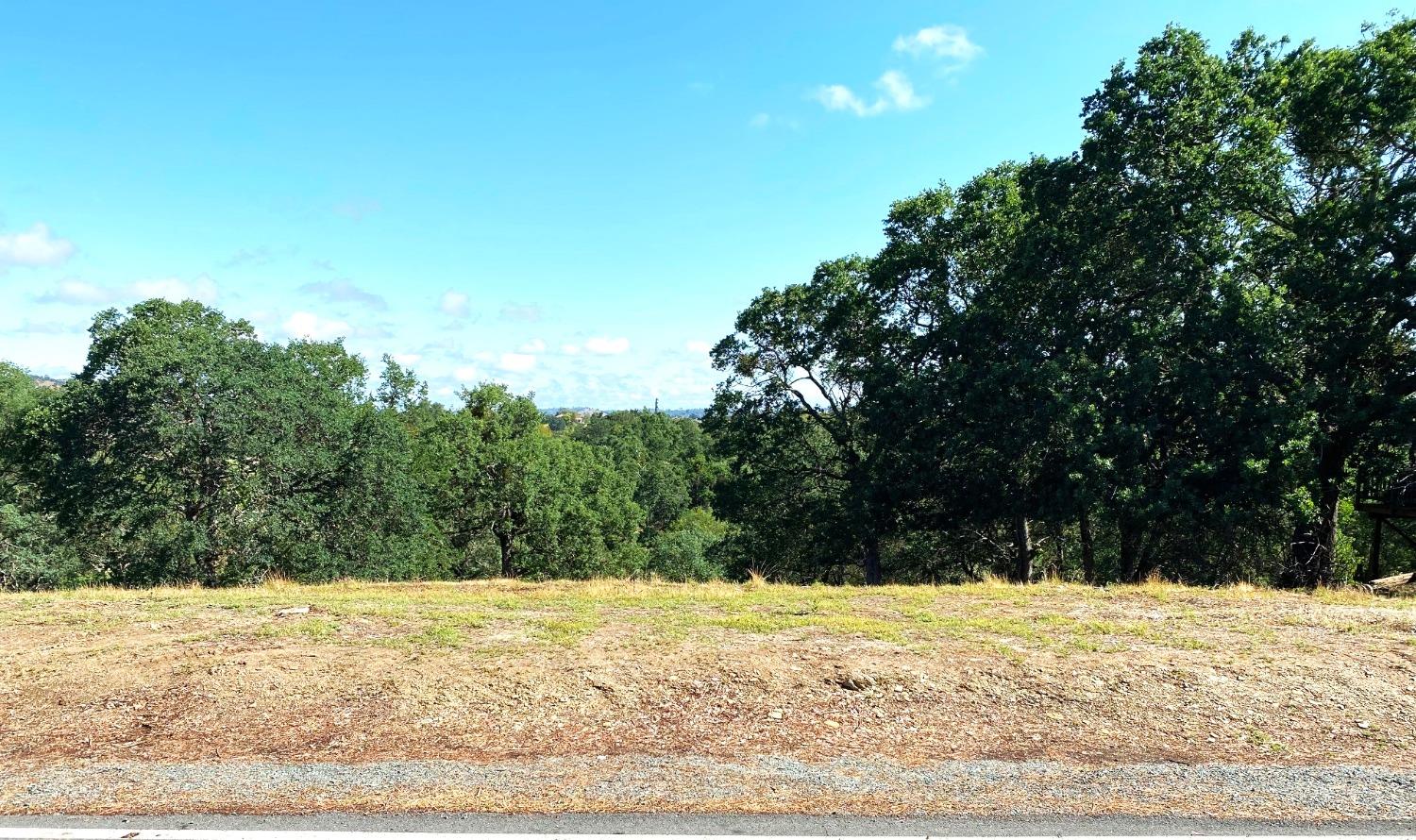 a view of a yard and mountain