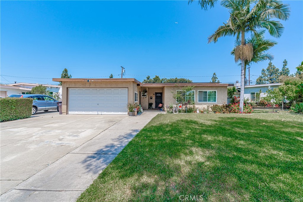 a front view of a house with a yard and palm tree