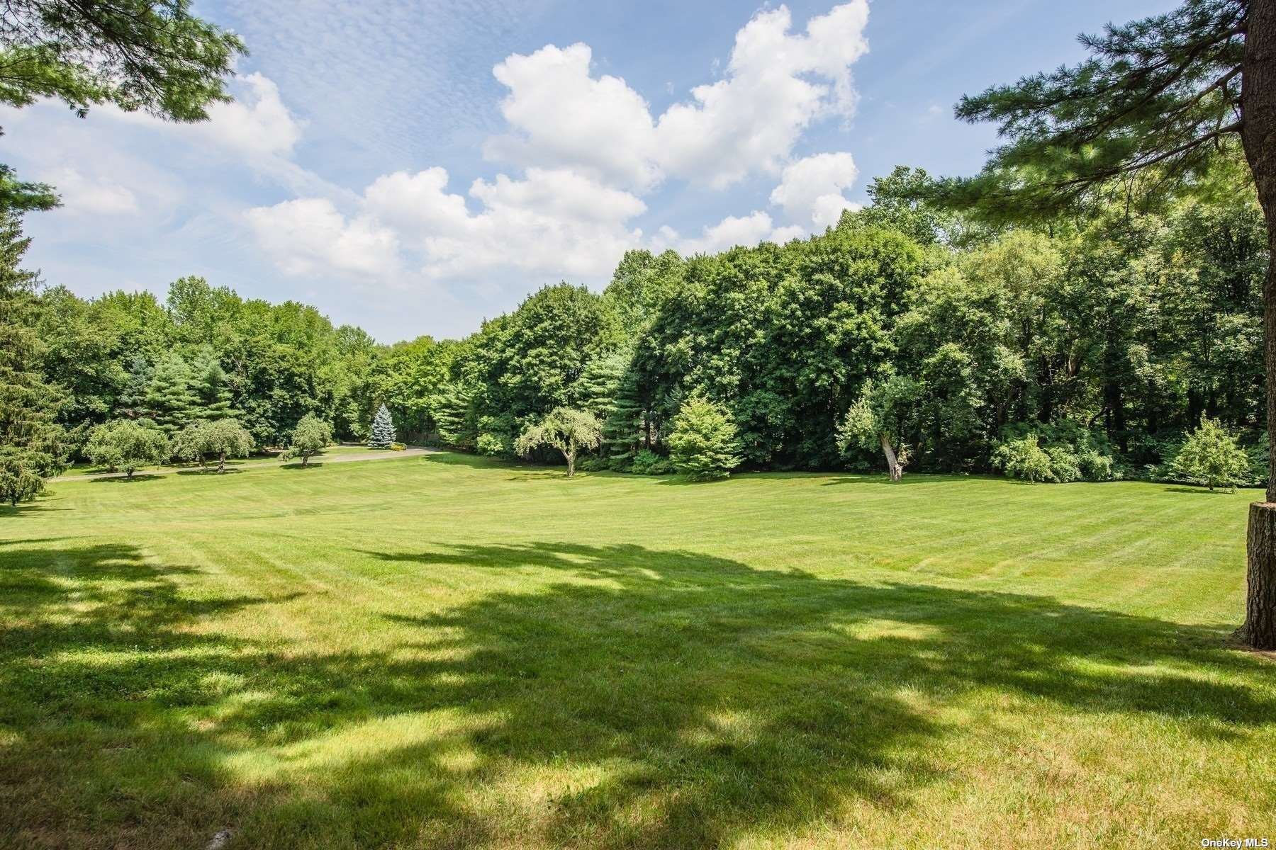 a view of a green yard