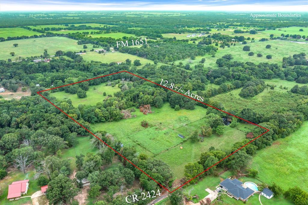 a view of a green field with lots of bushes