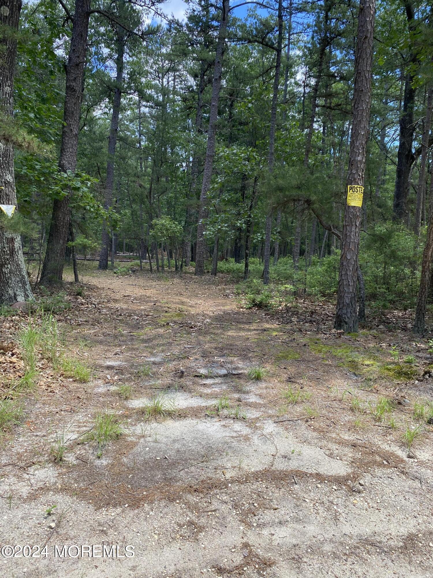 a view of a yard with a tree