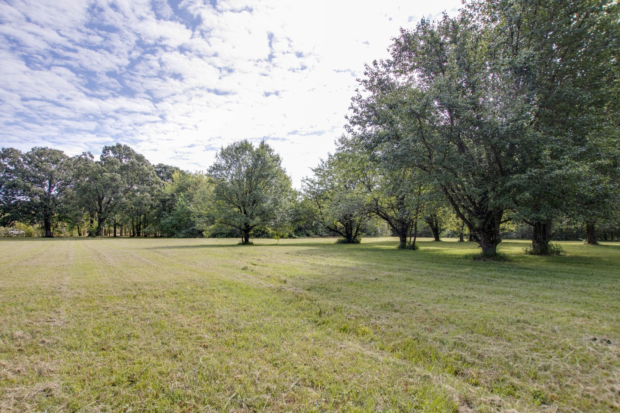 a view of outdoor space with trees all around