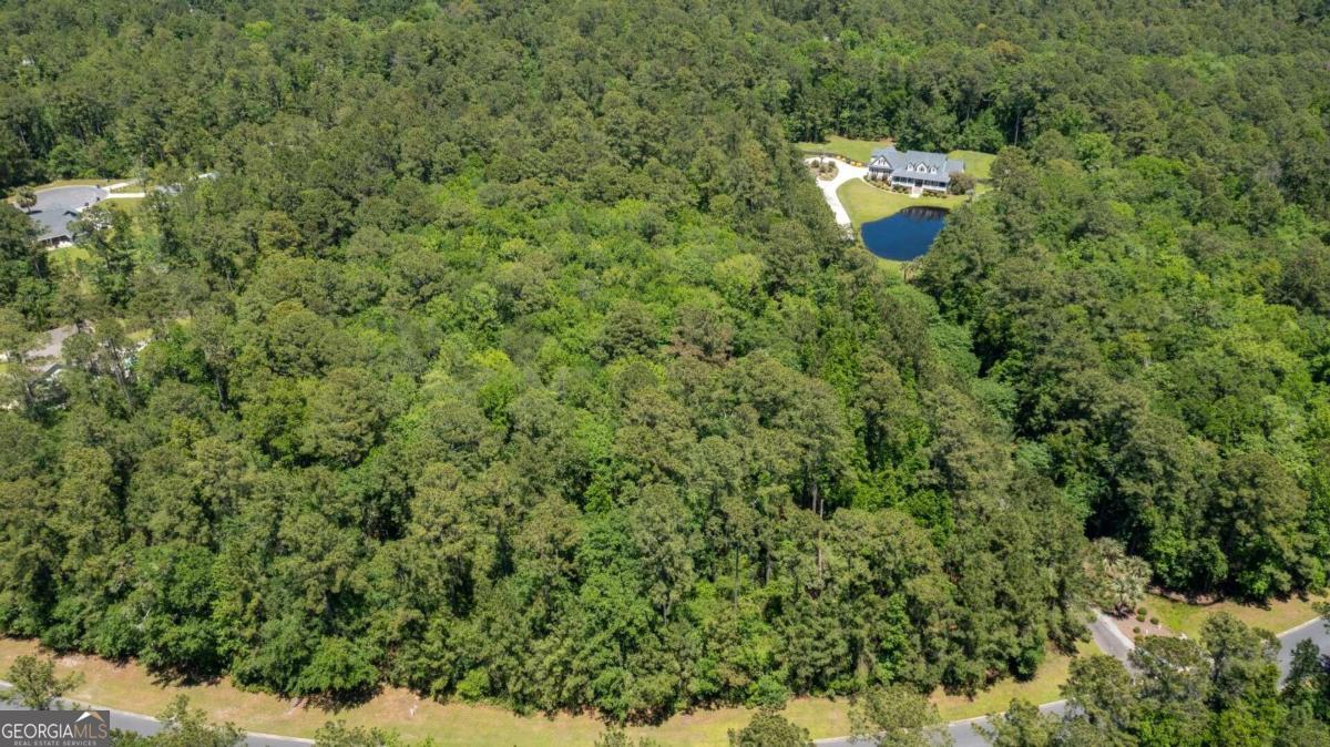 a view of a forest with a trees