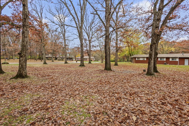 a view of a yard with a tree