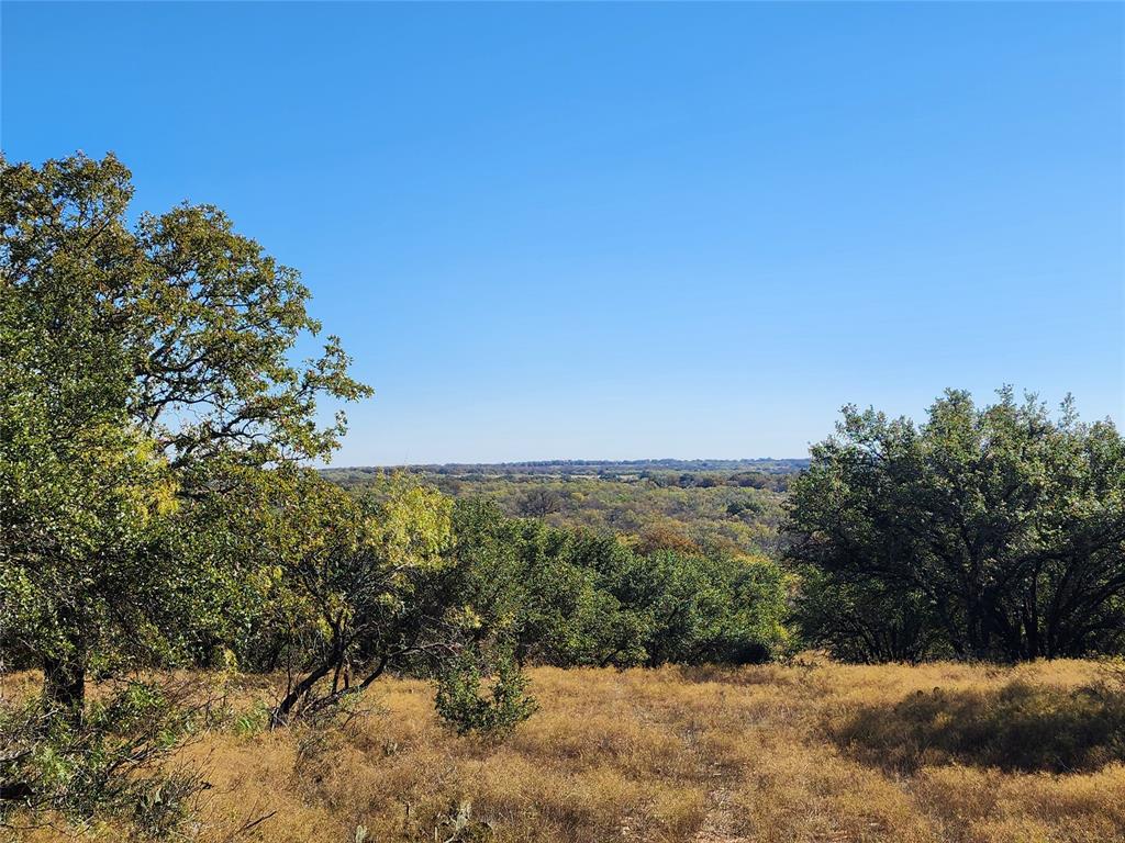 a view of a yard with a tree