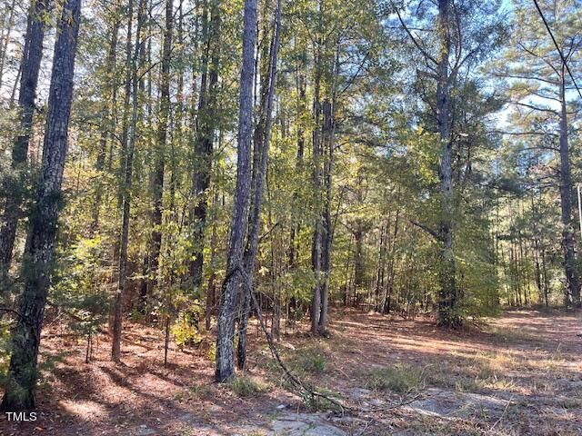 $250,000 | 3080 B Lystra Road | Williams Township - Chatham County