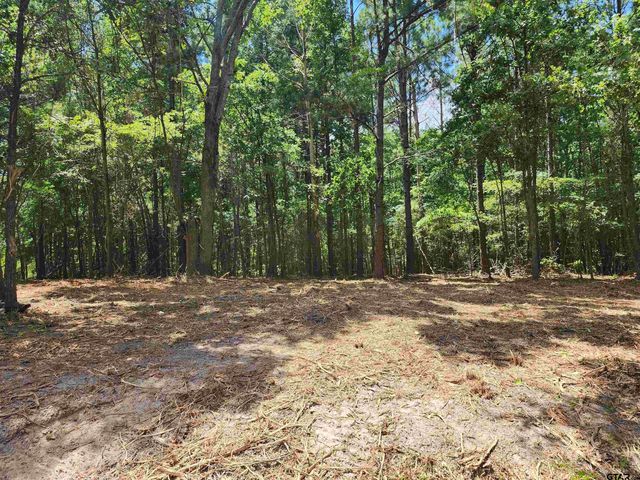 $155,273 | 4114 22.22 Acres Hughes Springs