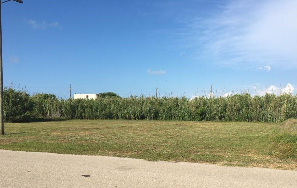 a view of a lake with a yard