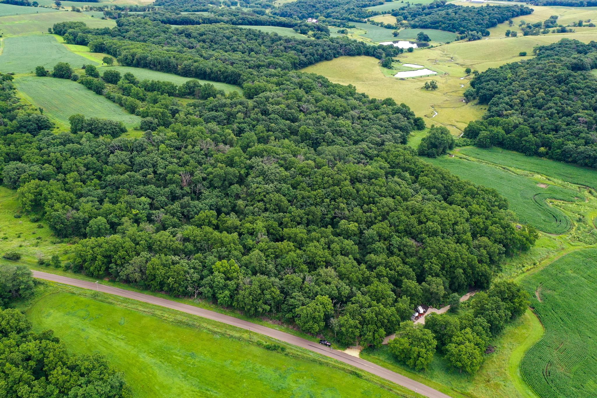 an aerial view of residential houses with outdoor space and trees all around