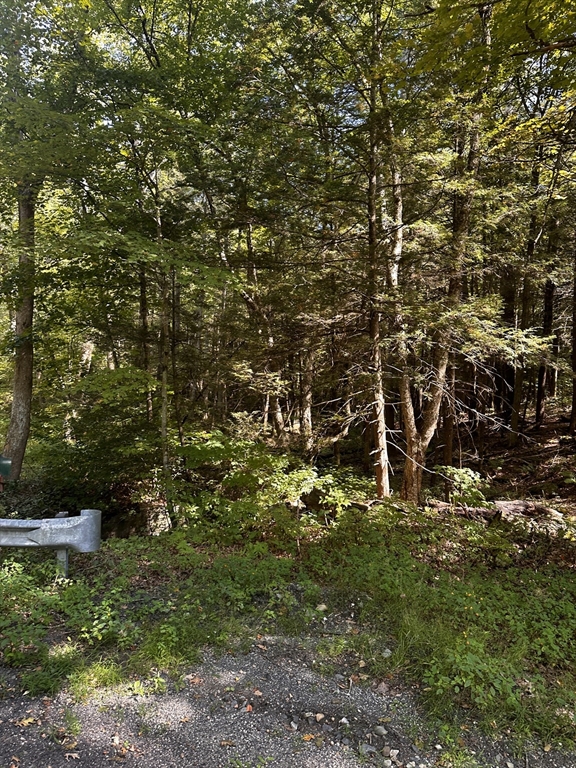 a view of outdoor space with large trees