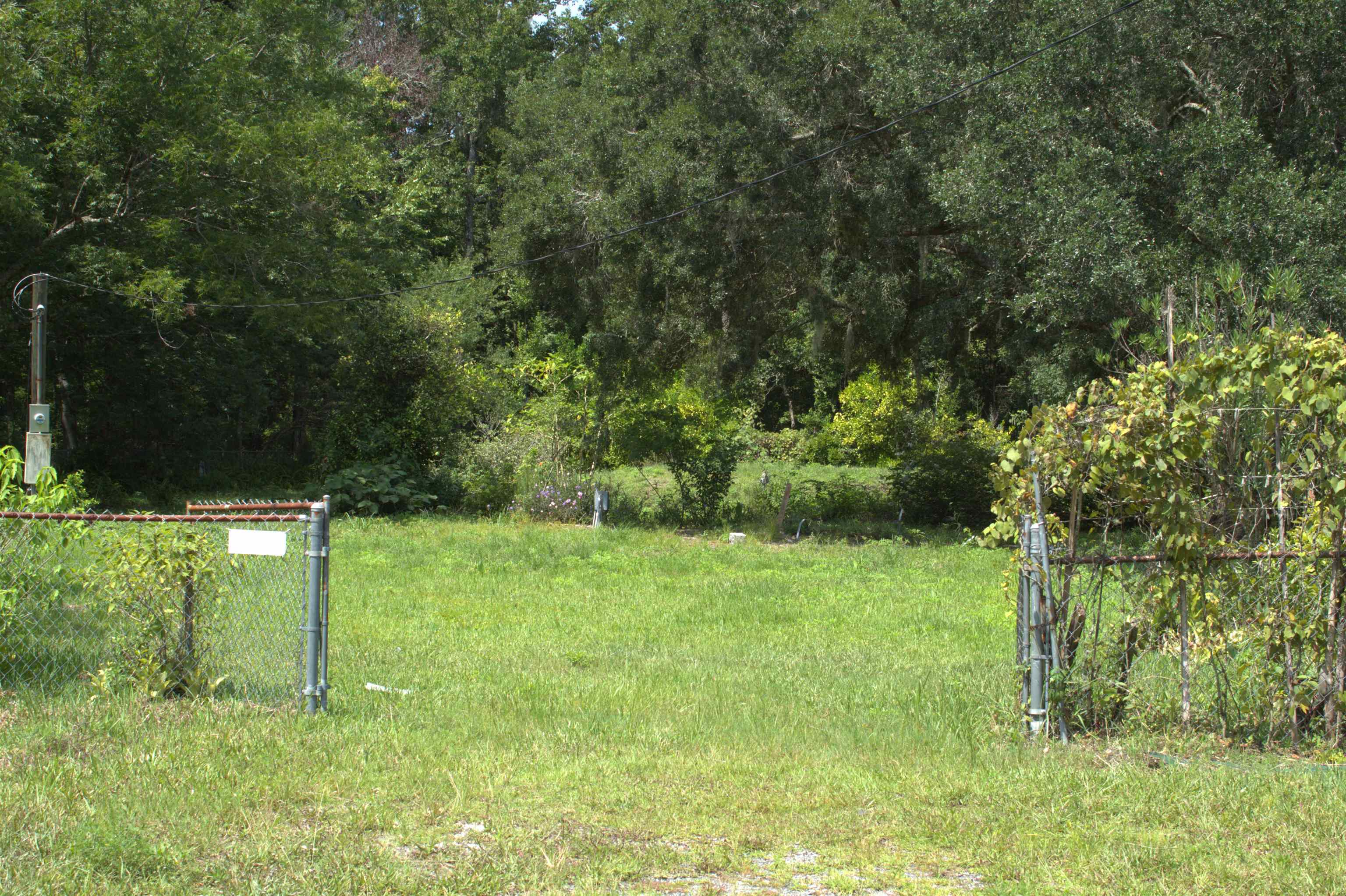 a view of outdoor space and yard