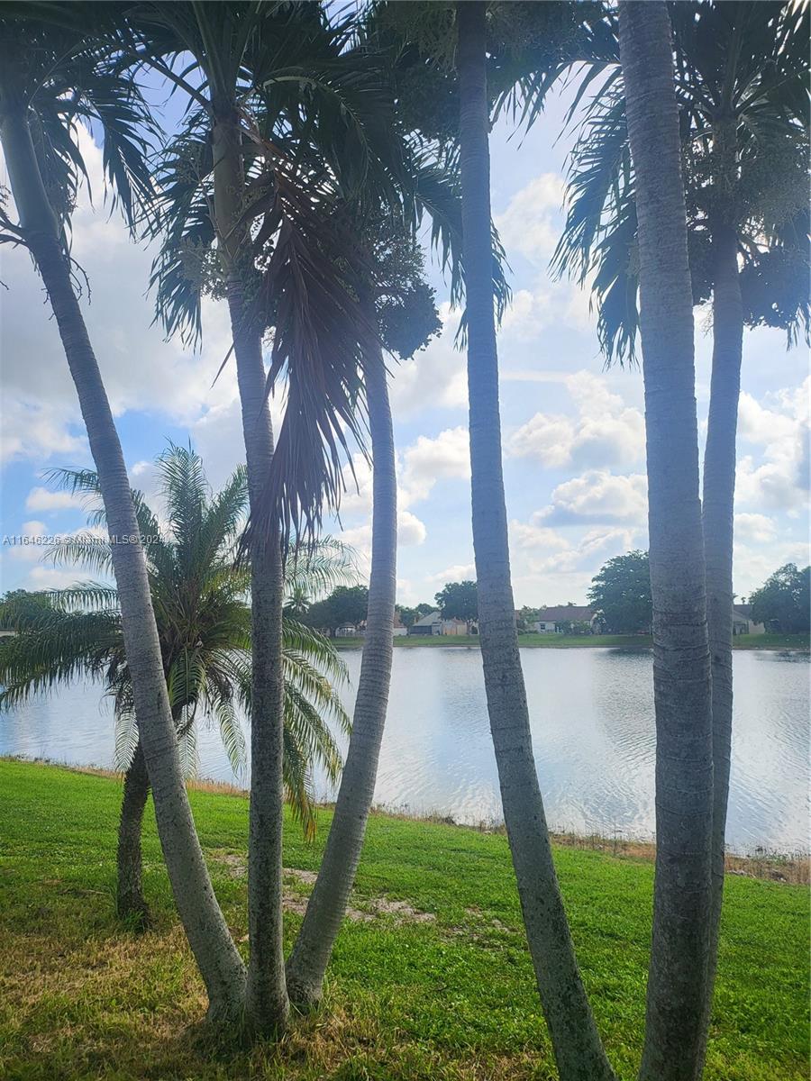 a green field with lots of palm trees