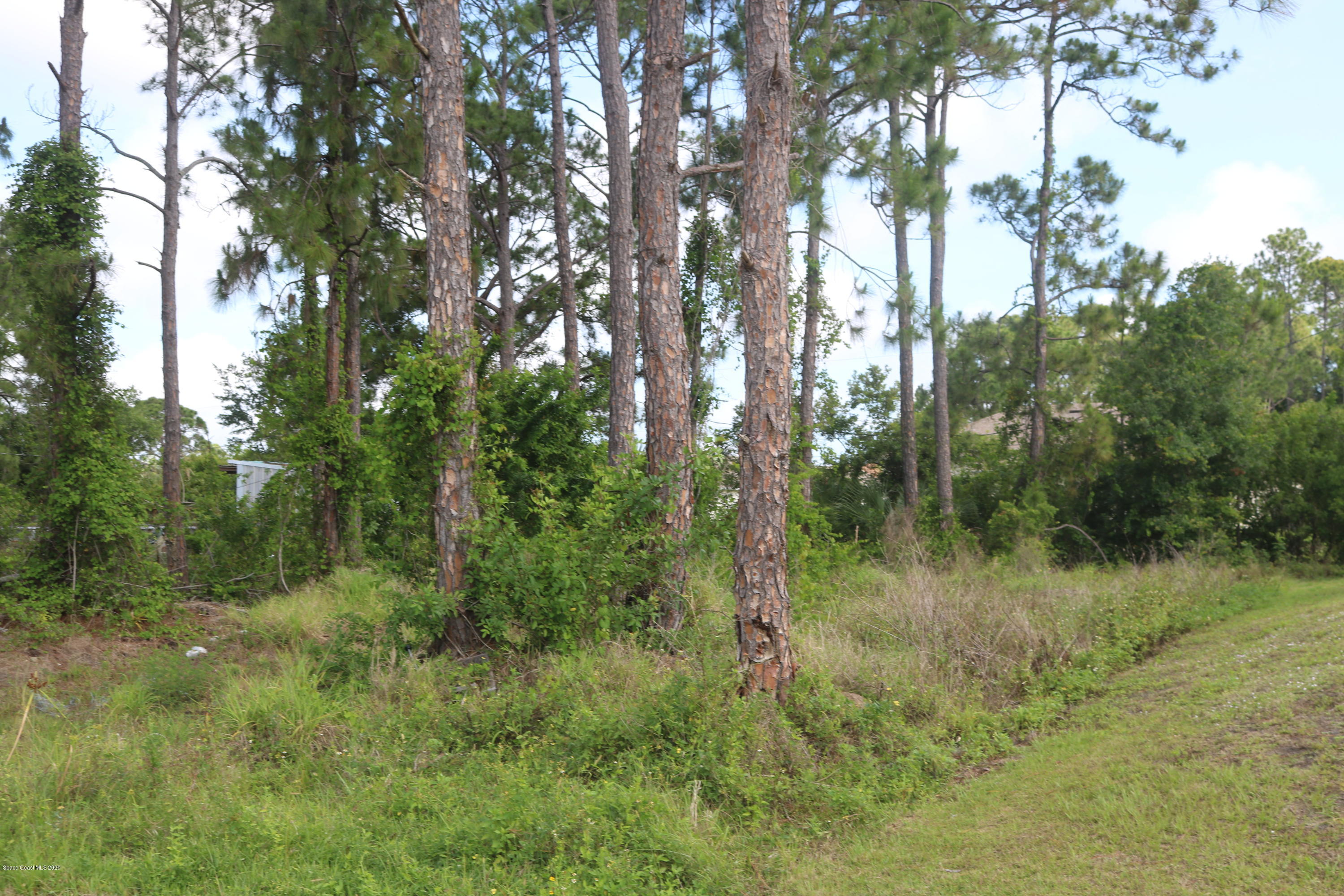 a view of a green field with lots of bushes