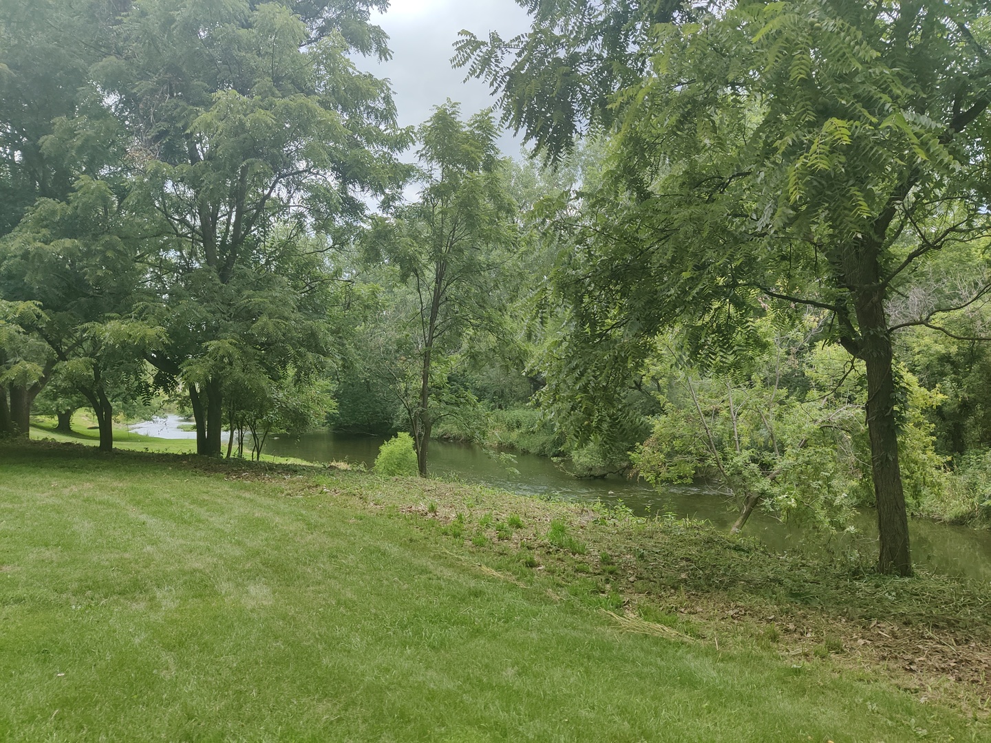 a big yard with lots of green space and trees