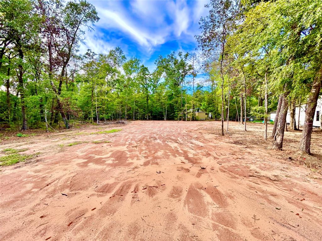 a view of some trees with wooden fence