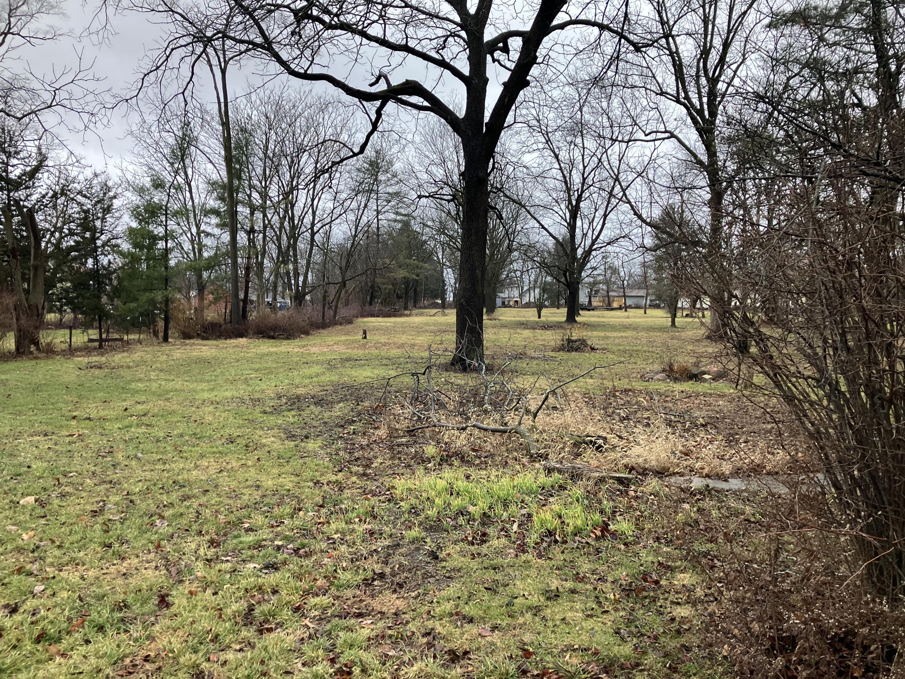 a view of a trees with a yard