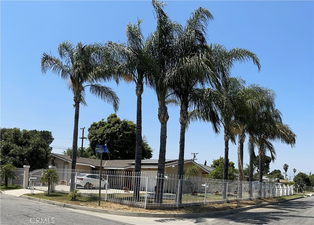 a view of outdoor space with palm trees