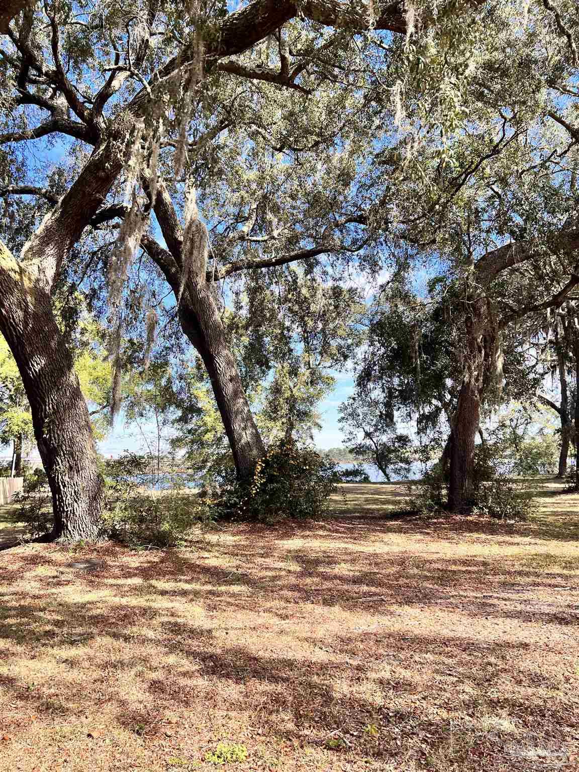 a view of dirt yard