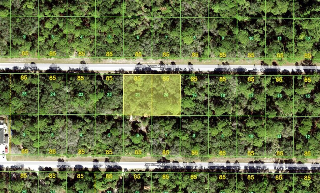 a view of a bunch of trees and flowers