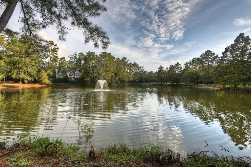 a view of a lake in between two large trees