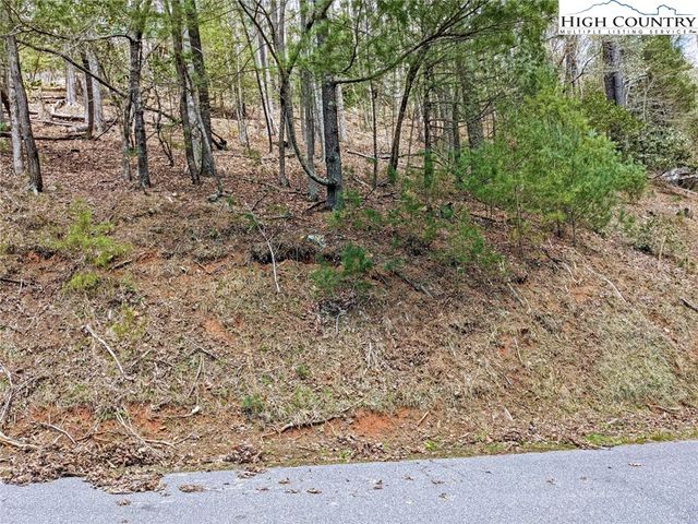 $10,000 | Trout Lake Road | Elk Township - Watauga County