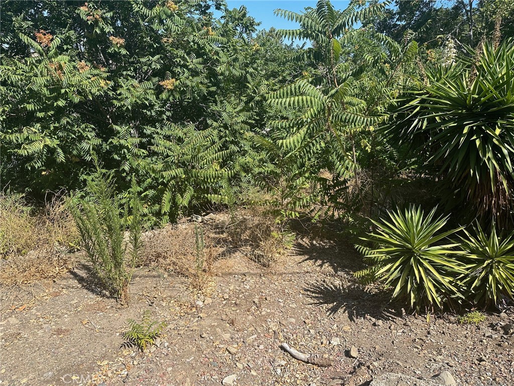 a view of a backyard of a house