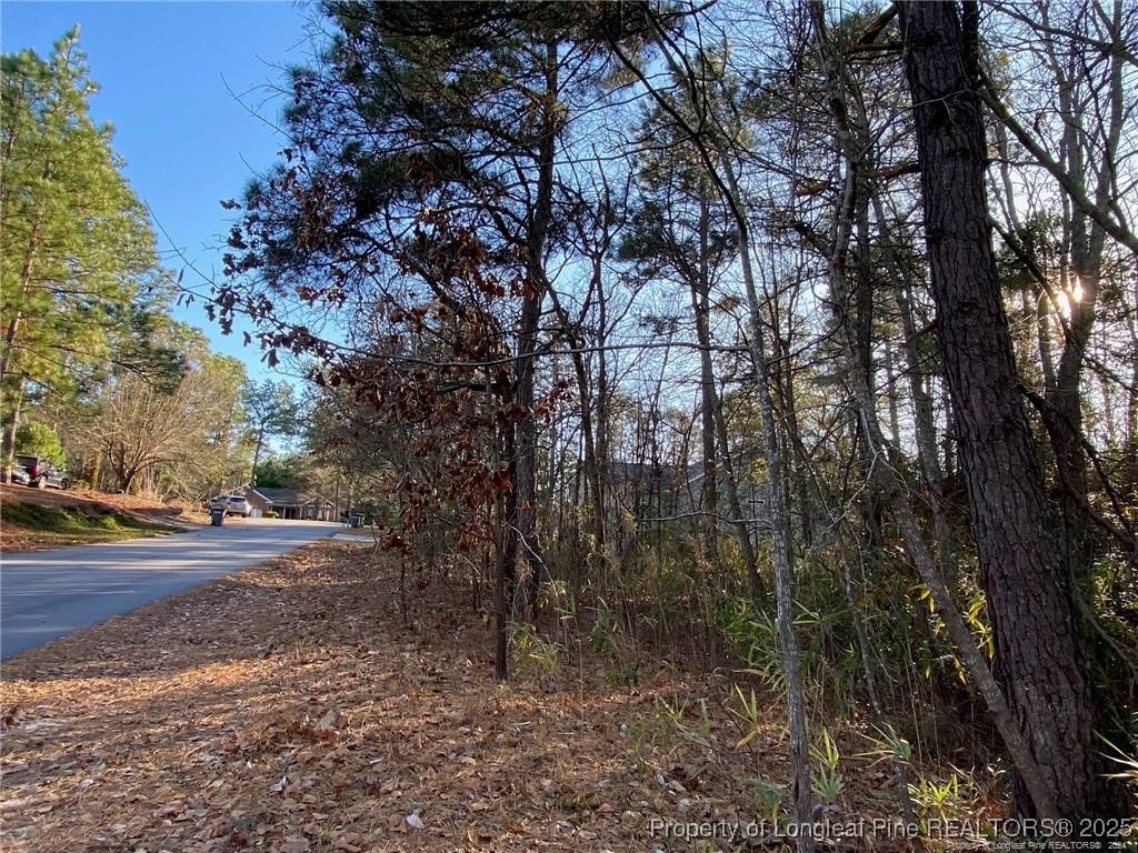 a view of a forest with trees