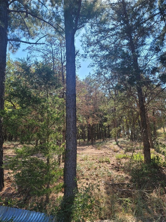 a view of a tree in a yard