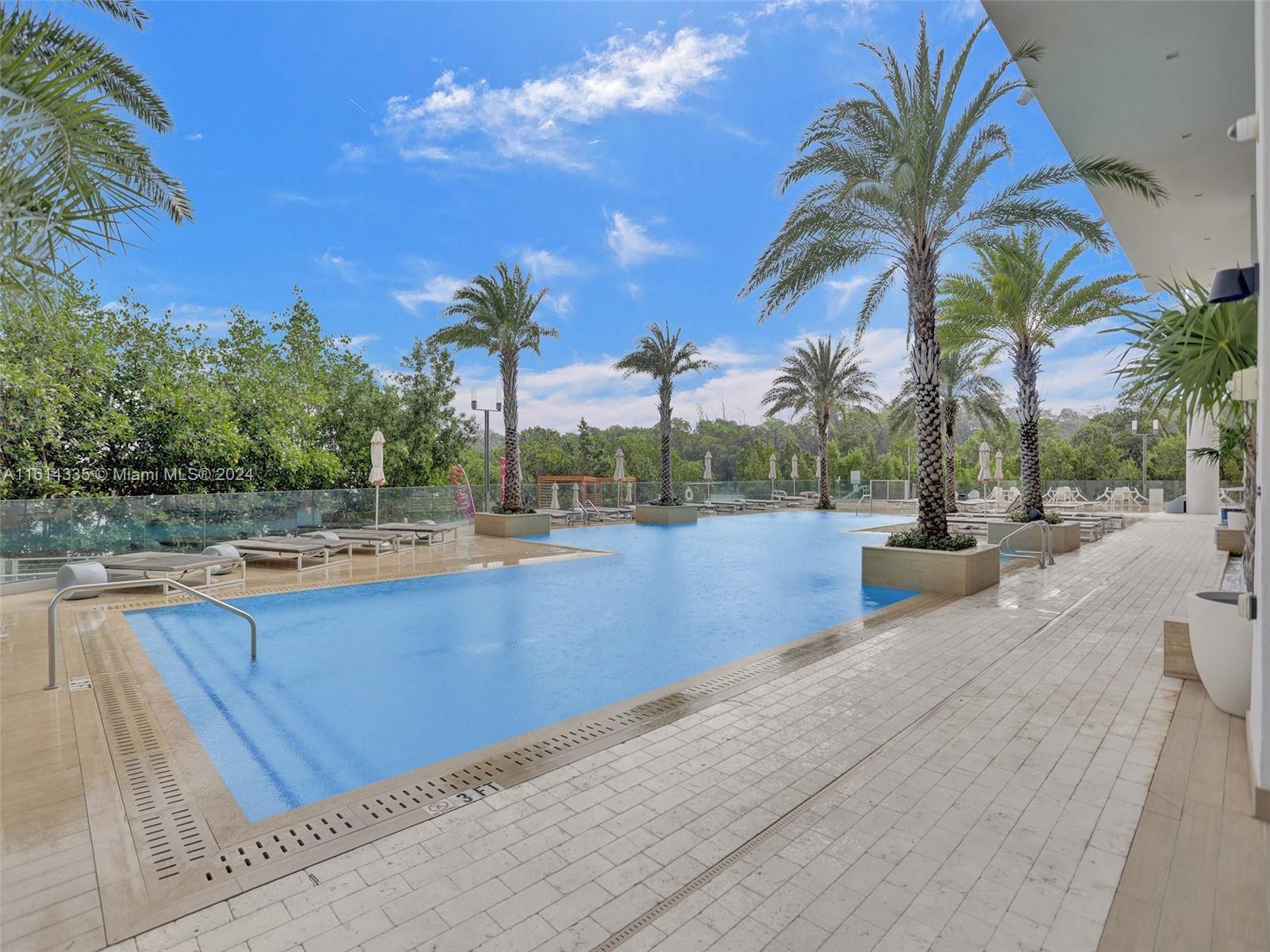 a view of a swimming pool with a lawn chairs and palm tree