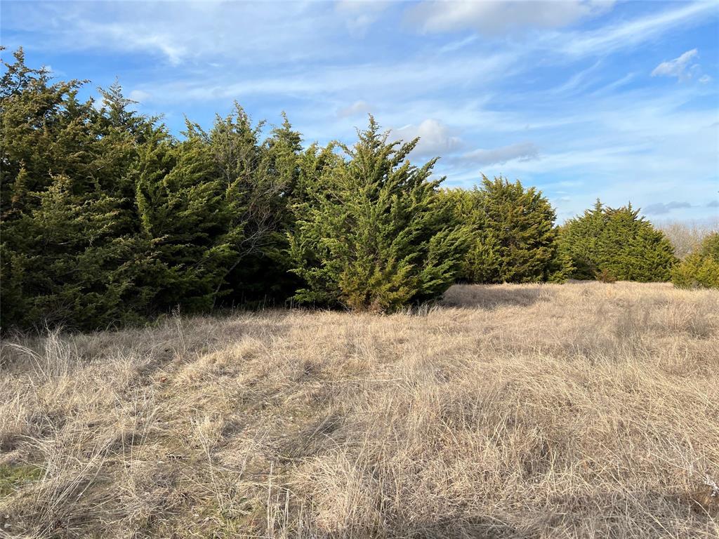 a view of a yard with trees in front of it