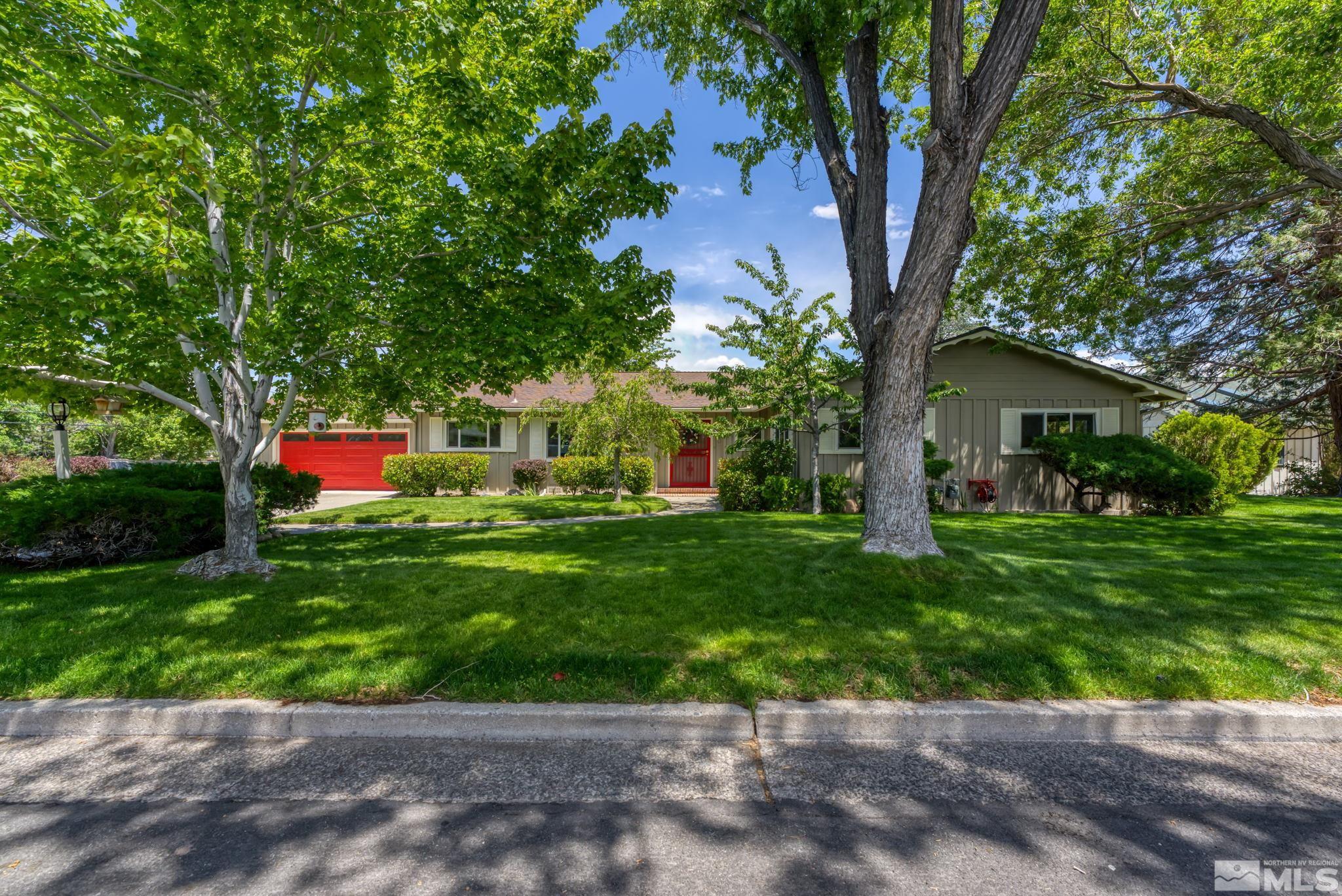 a view of a yard with plants and a large tree