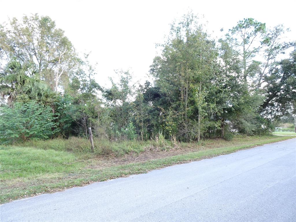 a view of a road with a trees park