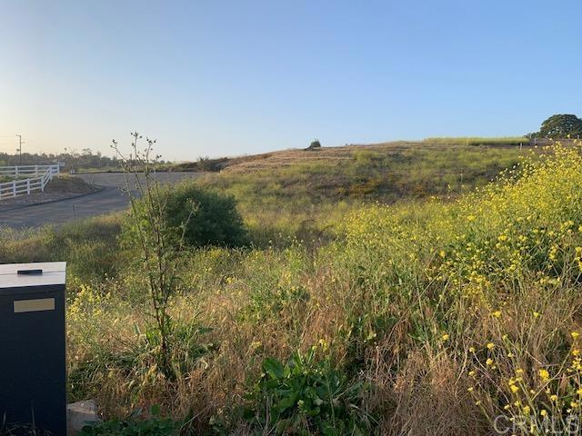 a view of a field with an ocean