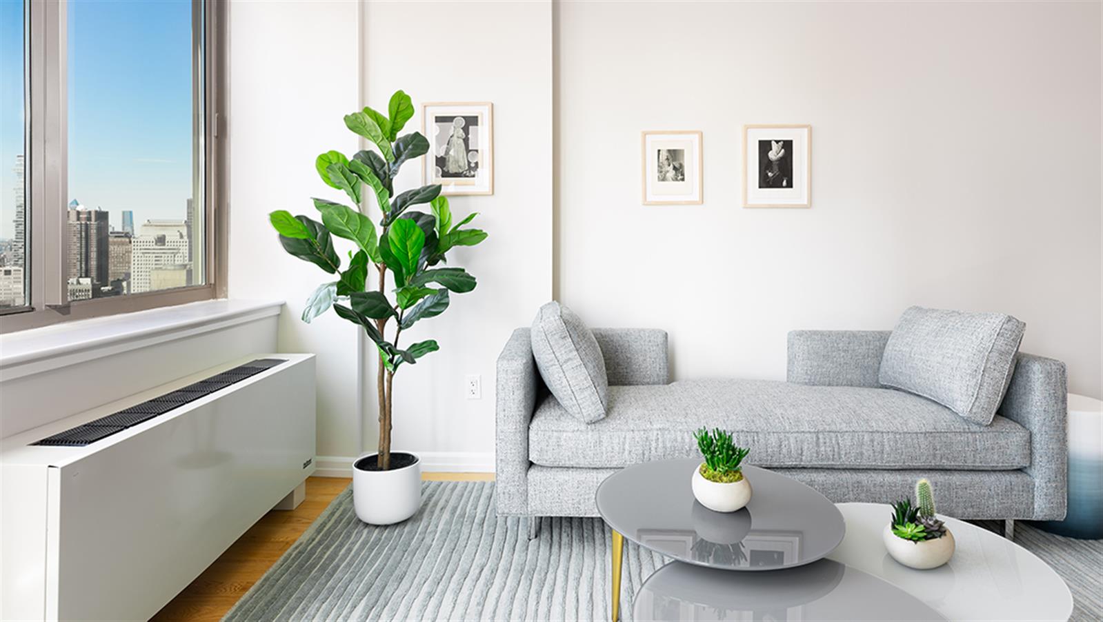 a living room with furniture and a potted plant