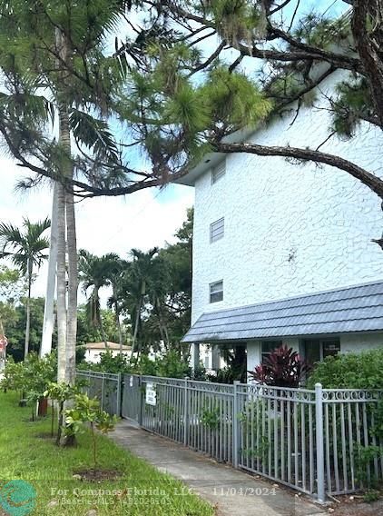 a view of a house with a small yard and a large tree