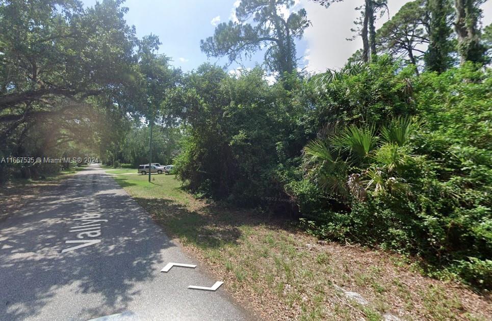 a view of a yard with plants and trees