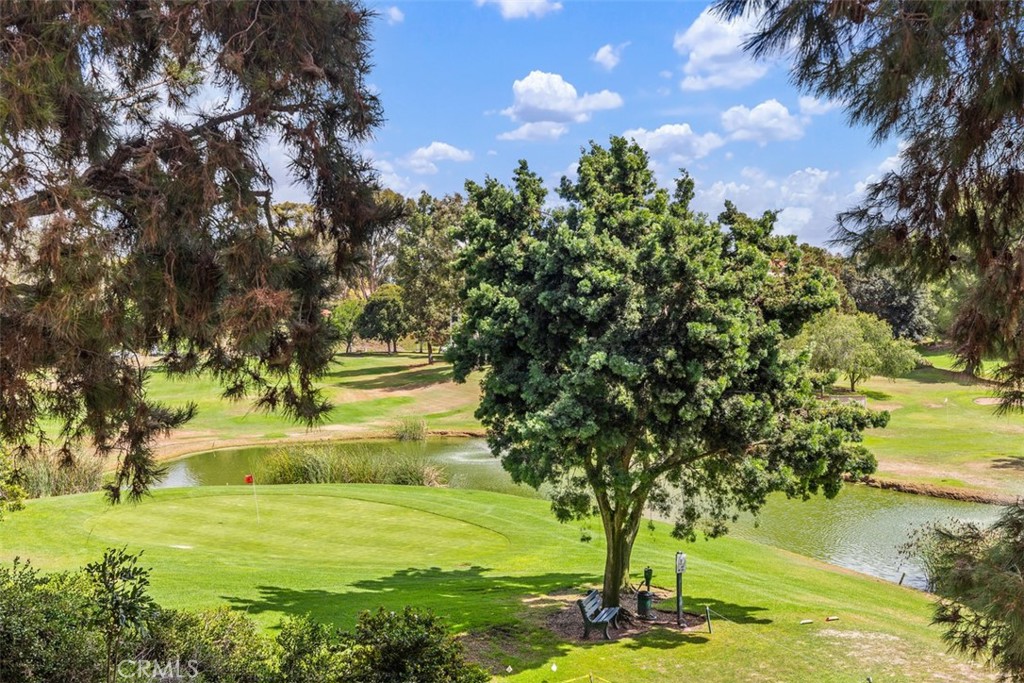 a view of a garden with an trees