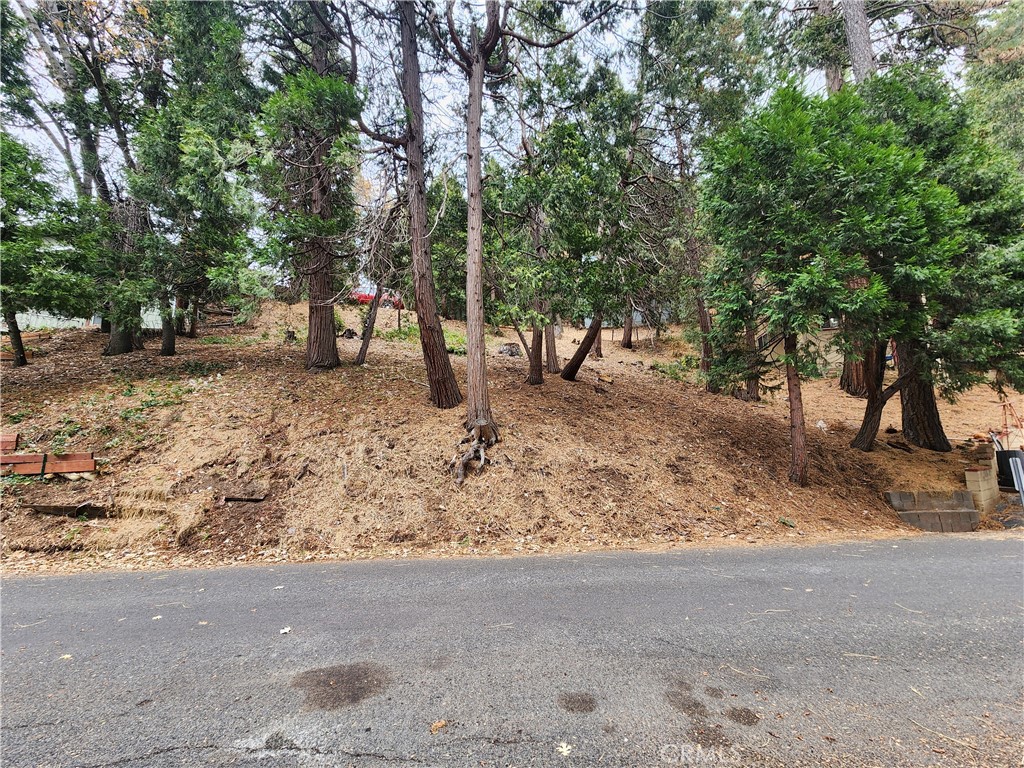 a view of a yard with a tree