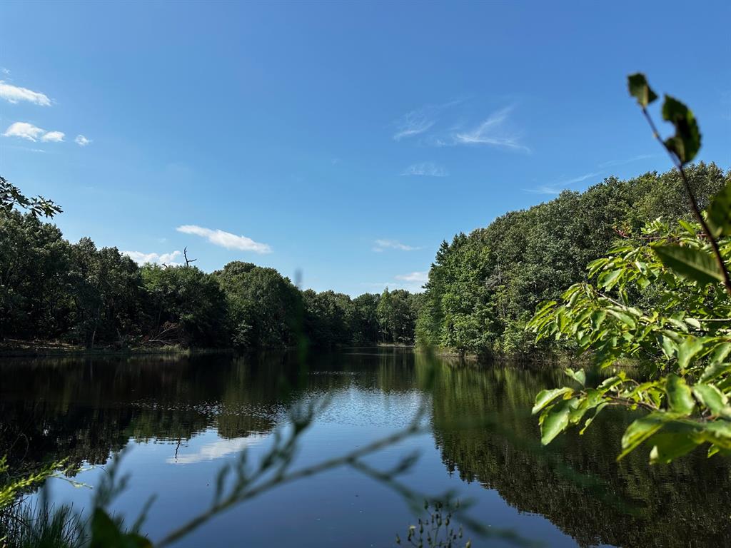 a lake view with a garden