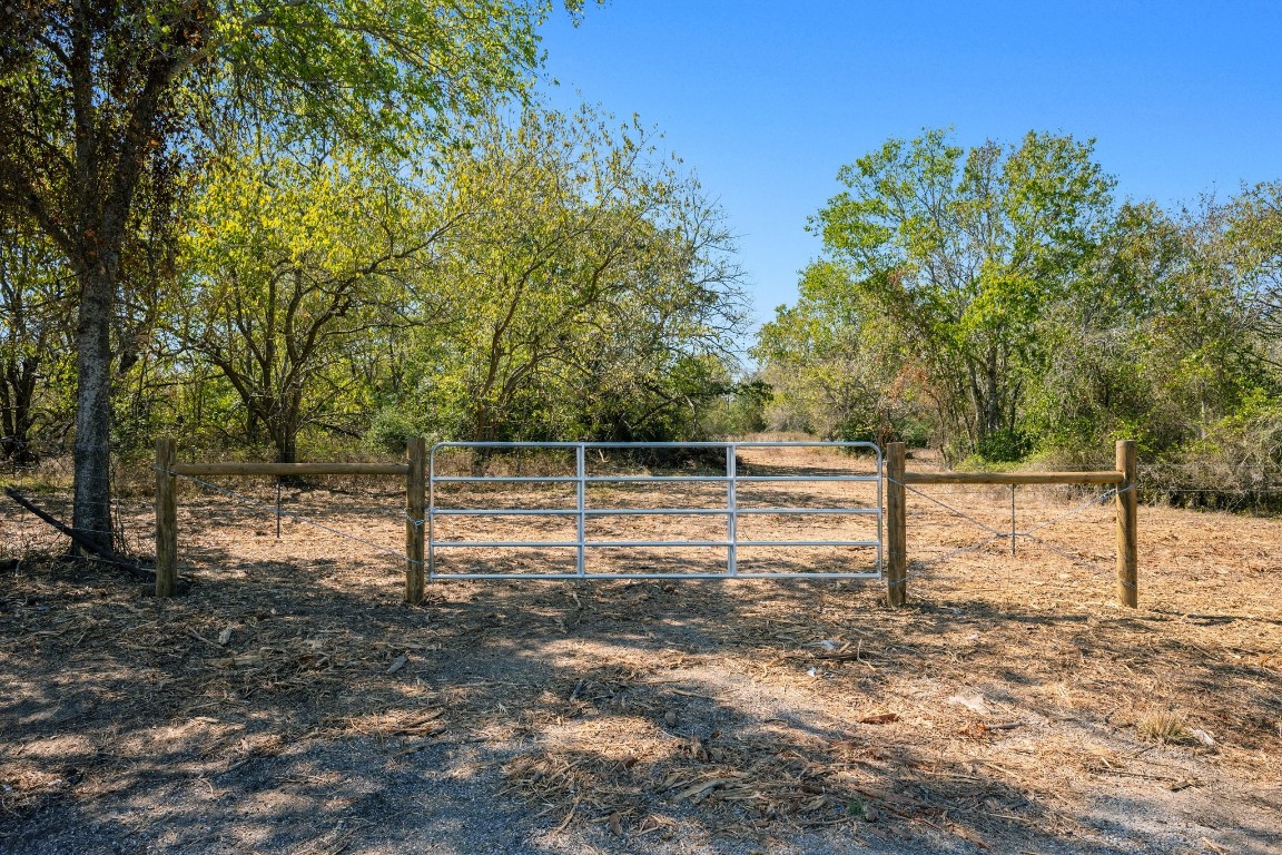 a view of a backyard with trees