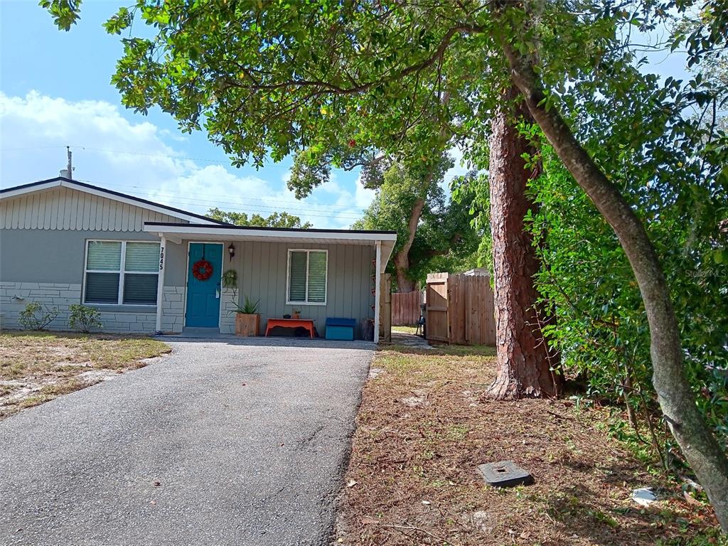 a view of a house with a tree in front of it