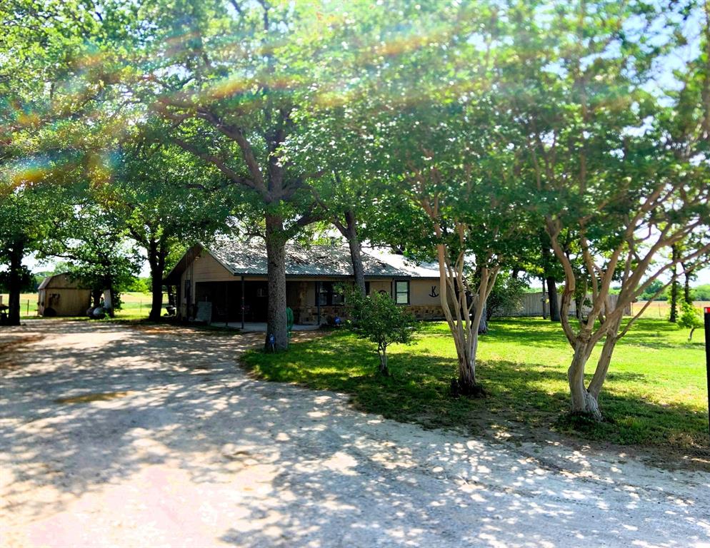 a view of a trees in a backyard