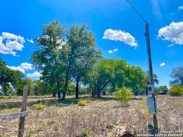 a view of a yard with a house