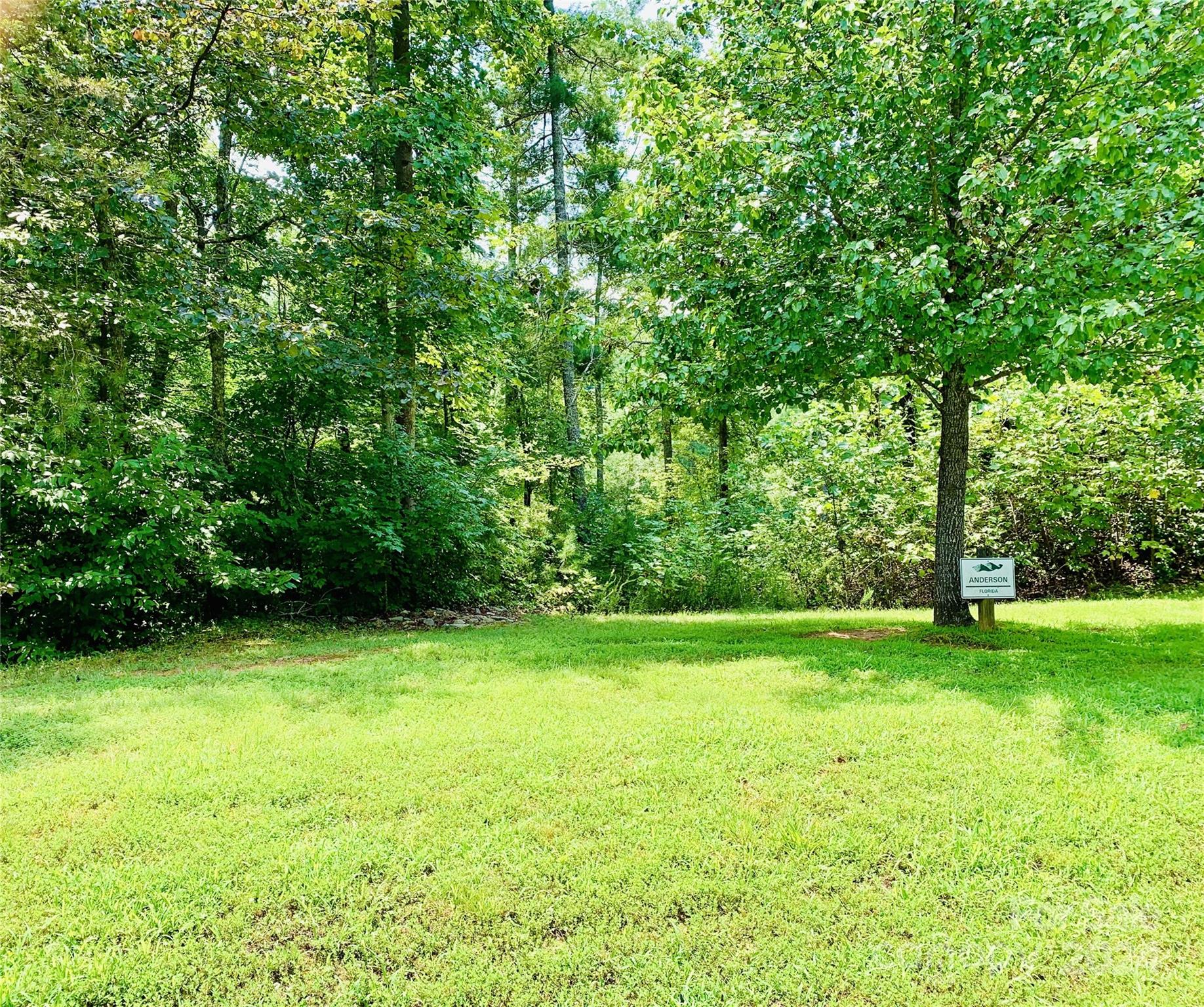 a view of a green yard