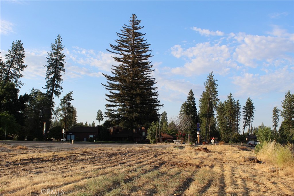 a view of a yard with trees in the background