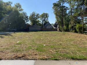 a view of a yard with trees