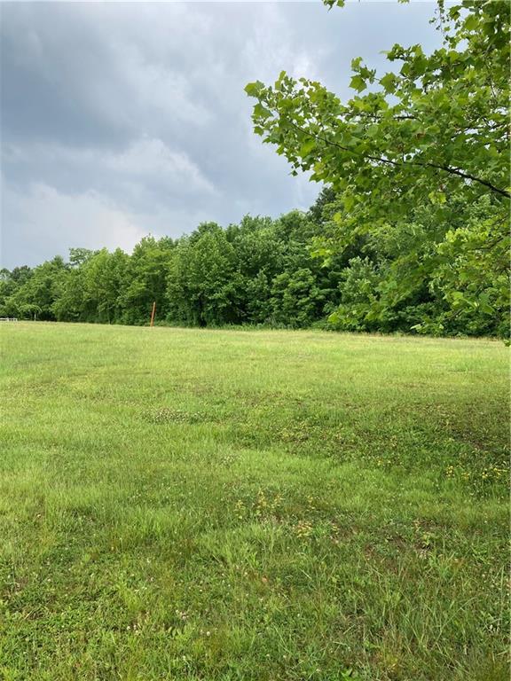 a view of field with trees in the background